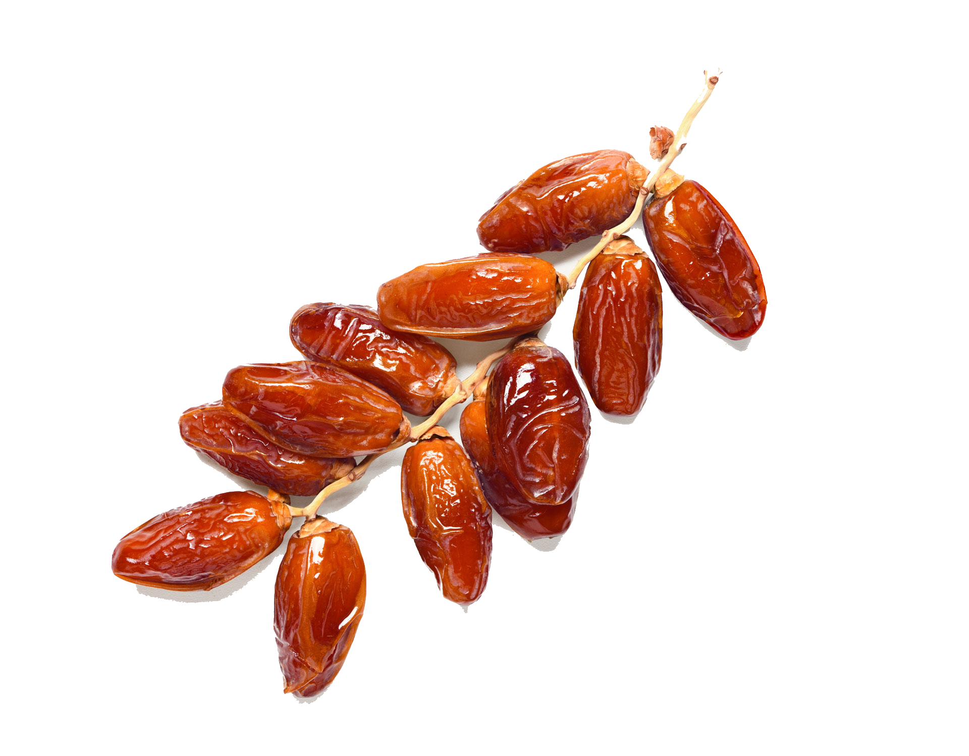 Dates Deglet Nour, bouquet - KARTAGO