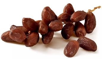 Dattes Deglet Nour, branchée